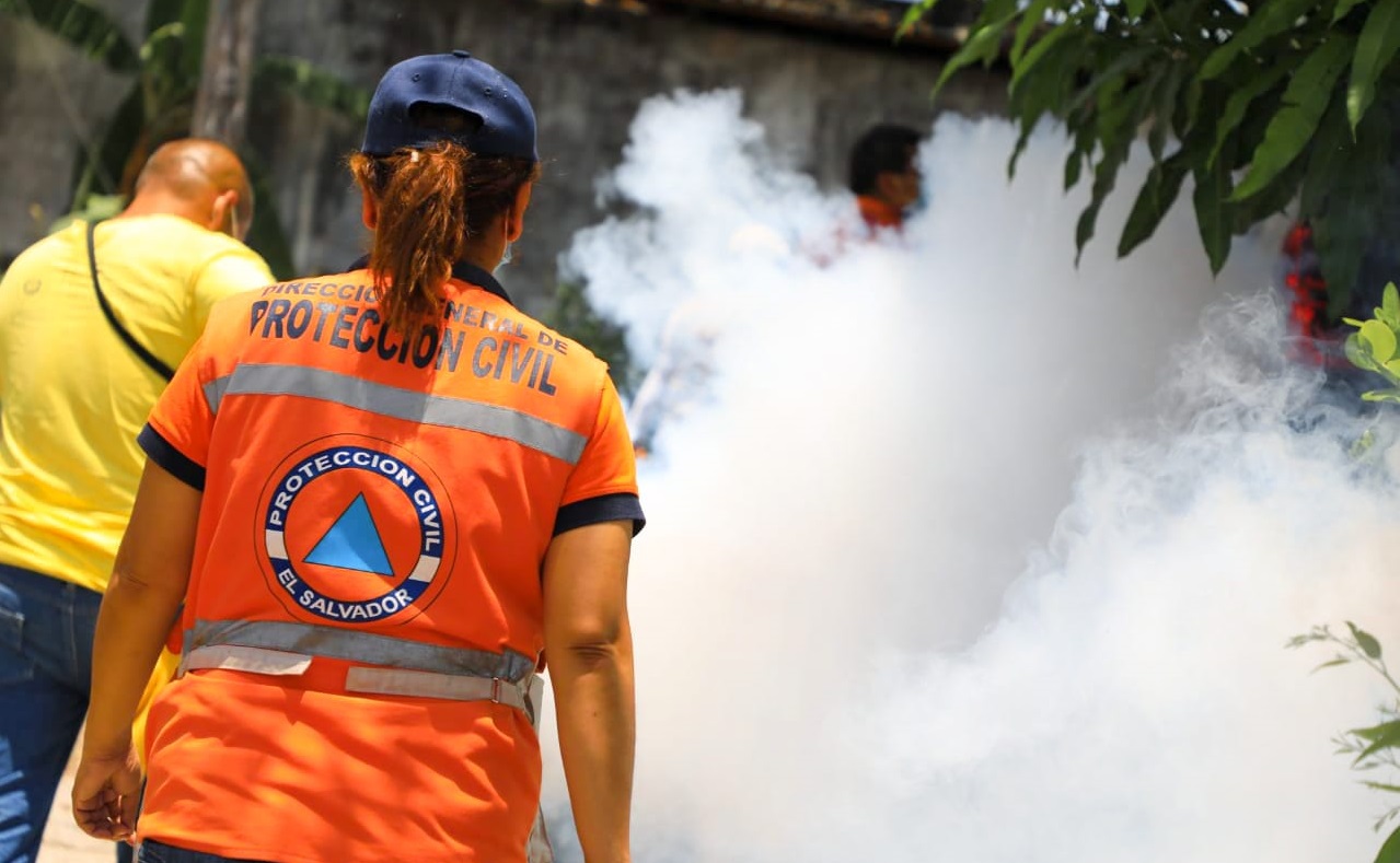 Megajornada de fumigación ha beneficiado a 119,646 familias a la fecha megajornada-de-fumigacion-ha-beneficiado-a-119646-familias-a-la-fecha